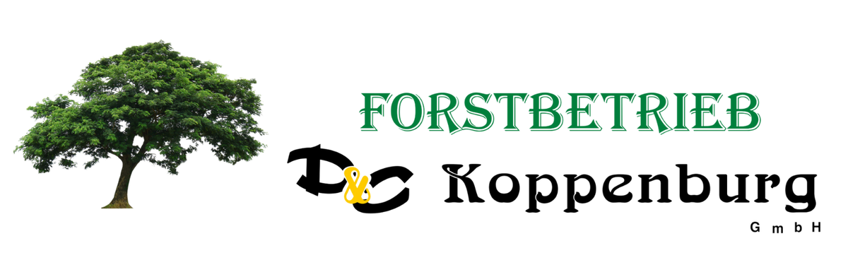 httpsericlartz.de (500 × 250 px) (800 × 250 px) (4)